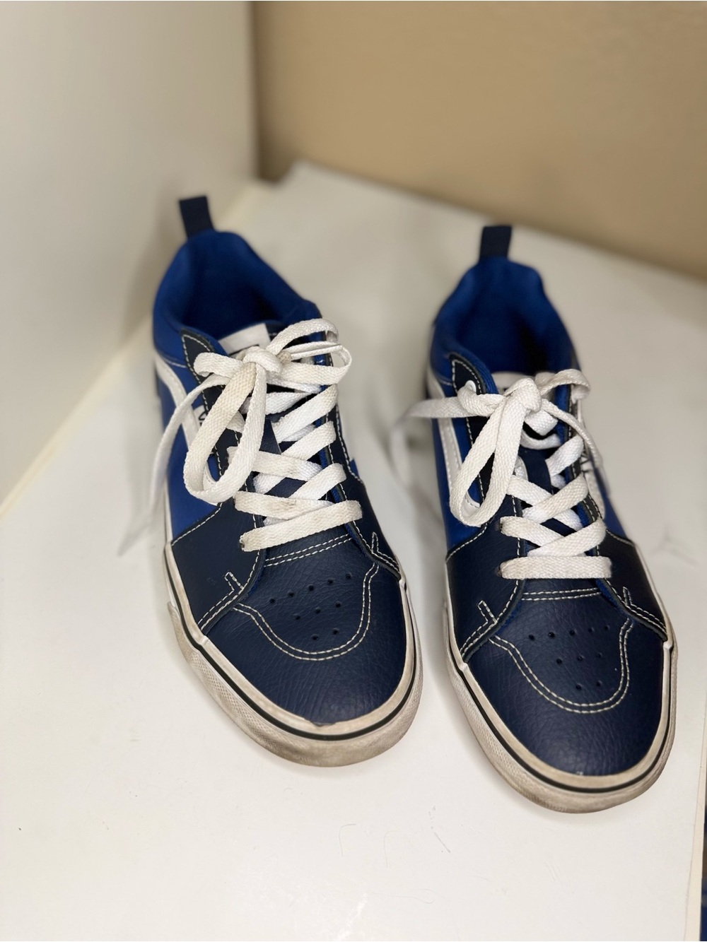 Vans Navy and White Low-Top Sneakers